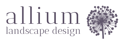 allium landscape design