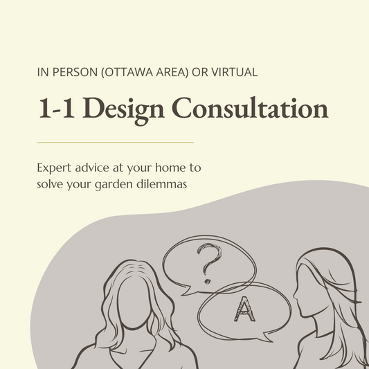 1-1 Design Consultation