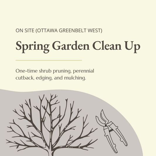 Spring Garden Clean Up 2025 - ONE TIME PURCHASE
